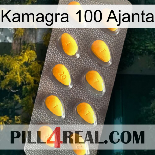Kamagra 100 Ajanta cialis1.jpg